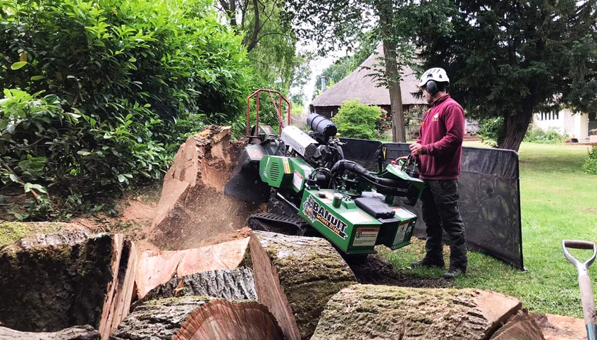 Stump Grinding Service