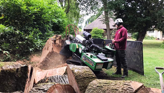 Stump Grinding in progress