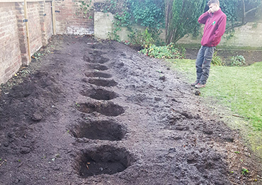 Soil prepared for tree planting