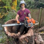 What Is Tree Stump Grinding?